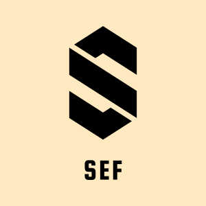 SecureFencity Logo